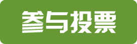 投票