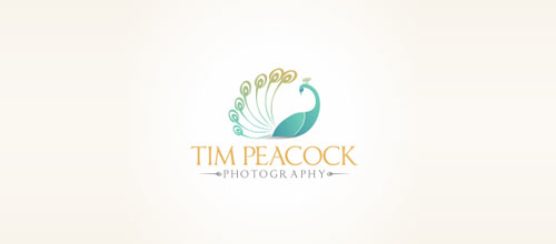 Tim Peacock Photography logo