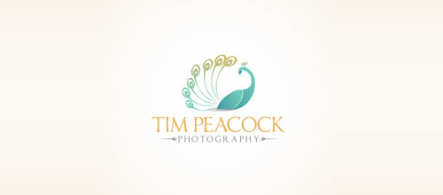 Tim Peacock Photography logo