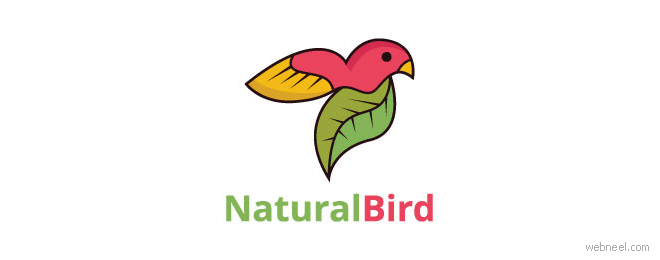 bird logo design