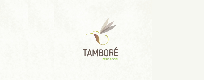 bird logo design