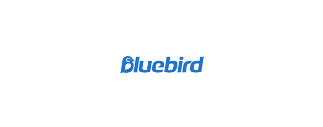 bird logo design