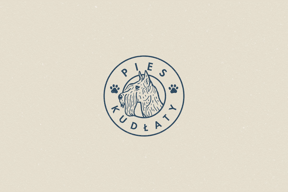 Alan Kamiski廭logo