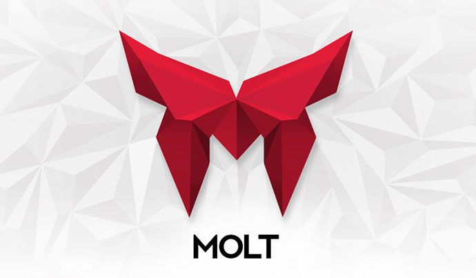 503Dlogo