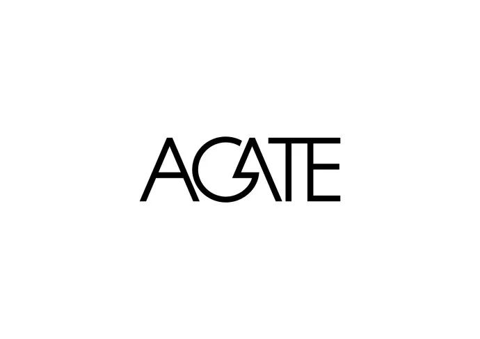 53Լlogo