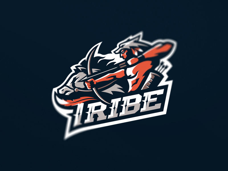 100Ӿlogo
