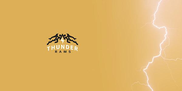 Bodea Daniellogo