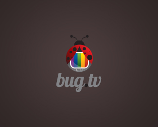־ԪӦʵ:(Bug)