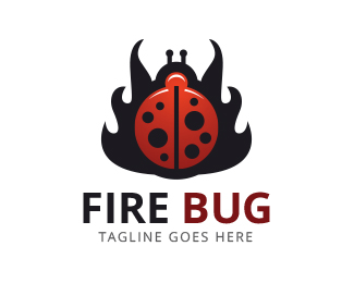 ־ԪӦʵ:(Bug)