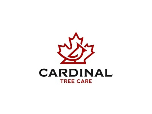 38logo