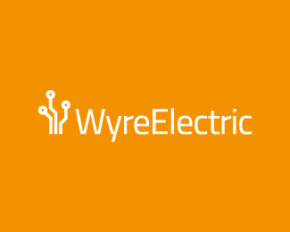 30ӹ˾logo