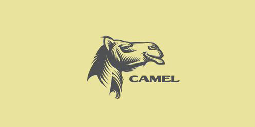 50Logo
