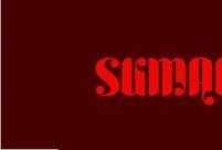 ӢLOGO