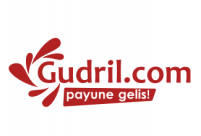 Gudrilվlogo