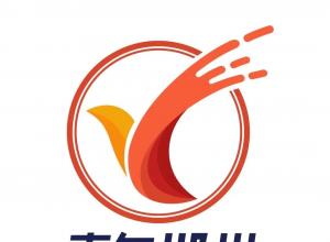 “青年郴州”logo征集活动 评选结果出炉啦！