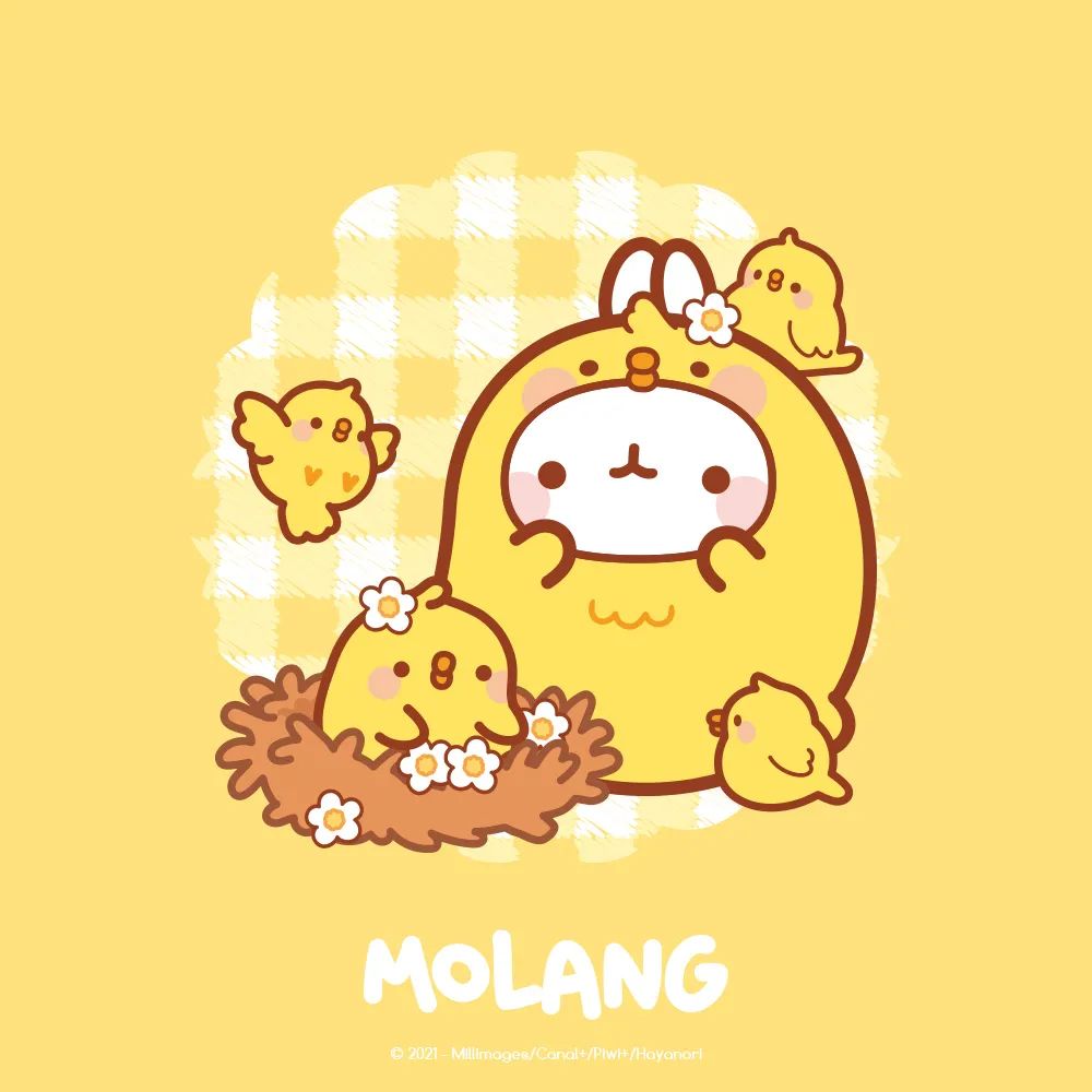 ͼƬ