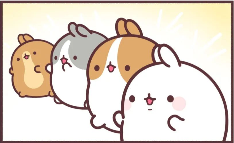 ͼƬ
