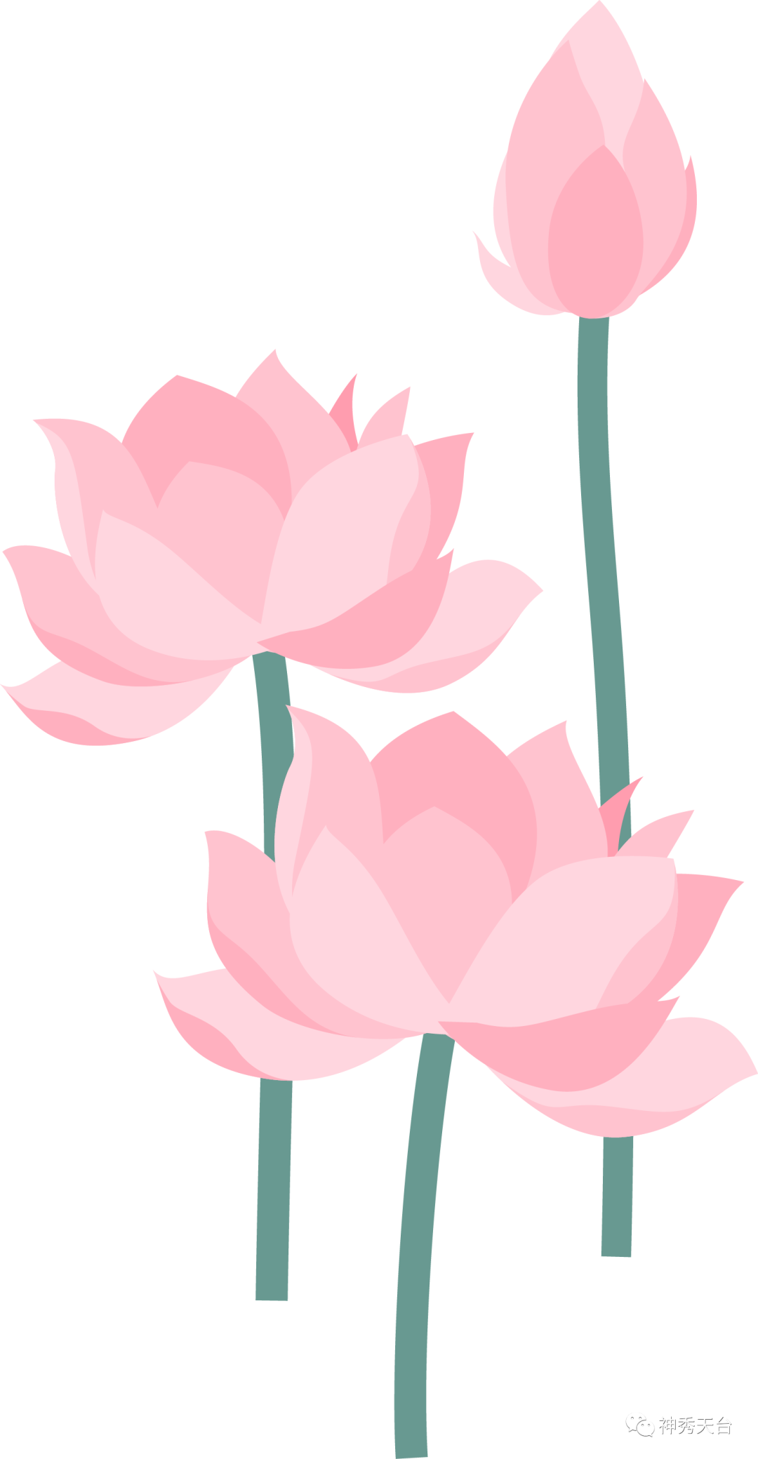 ͼƬ
