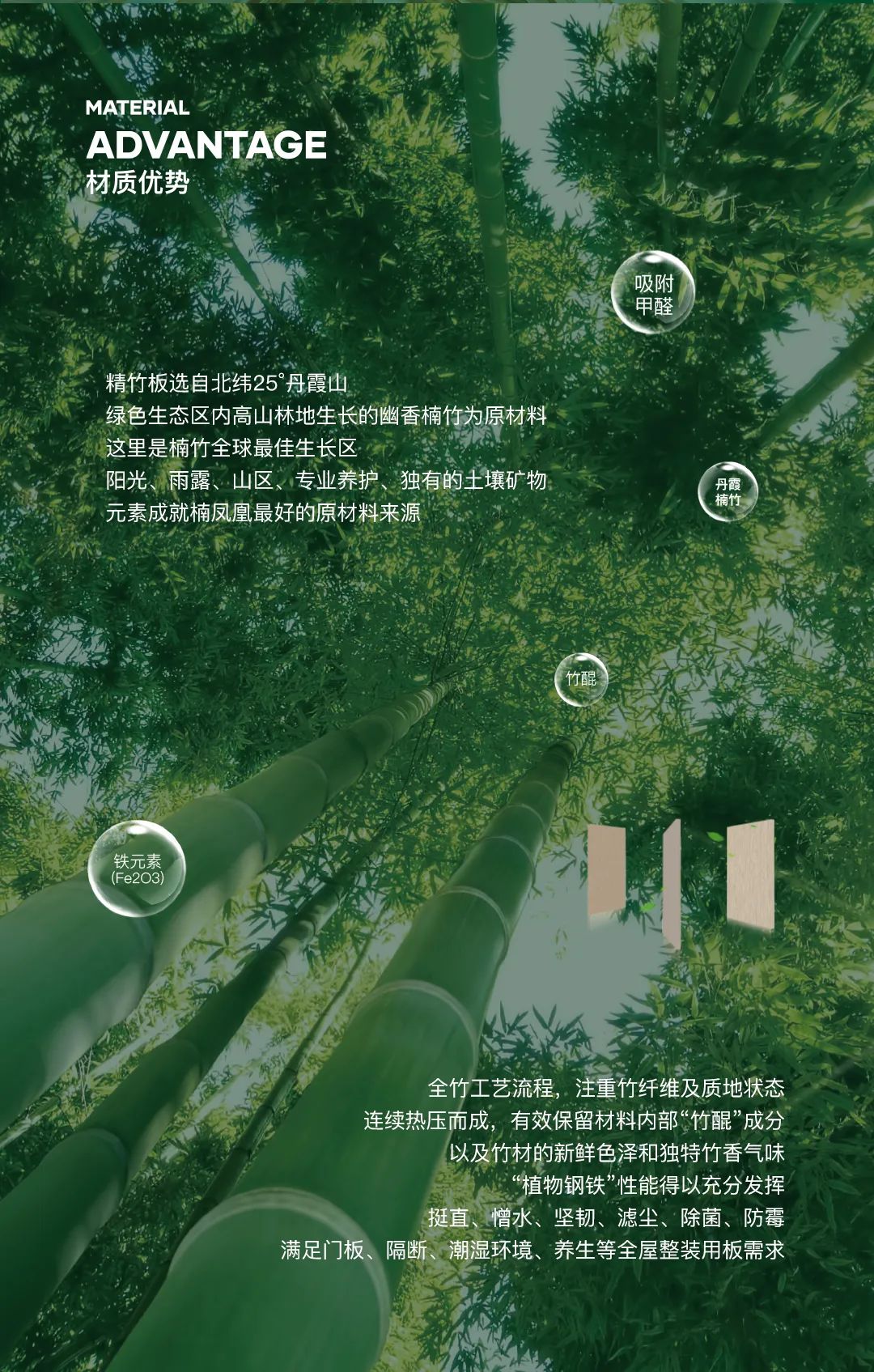 鸿伟·楠凤凰精竹板广告语征集 鸿伟·楠凤凰精竹板广告语征集.5图片