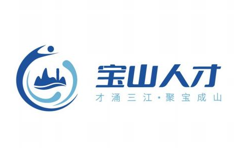 “宝山人才”征集形象标识(Logo)设计方案投票 “宝山人才”征集形象标识(Logo)设计方案投票.3图片