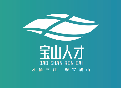 “宝山人才”征集形象标识(Logo)设计方案投票 “宝山人才”征集形象标识(Logo)设计方案投票.6图片