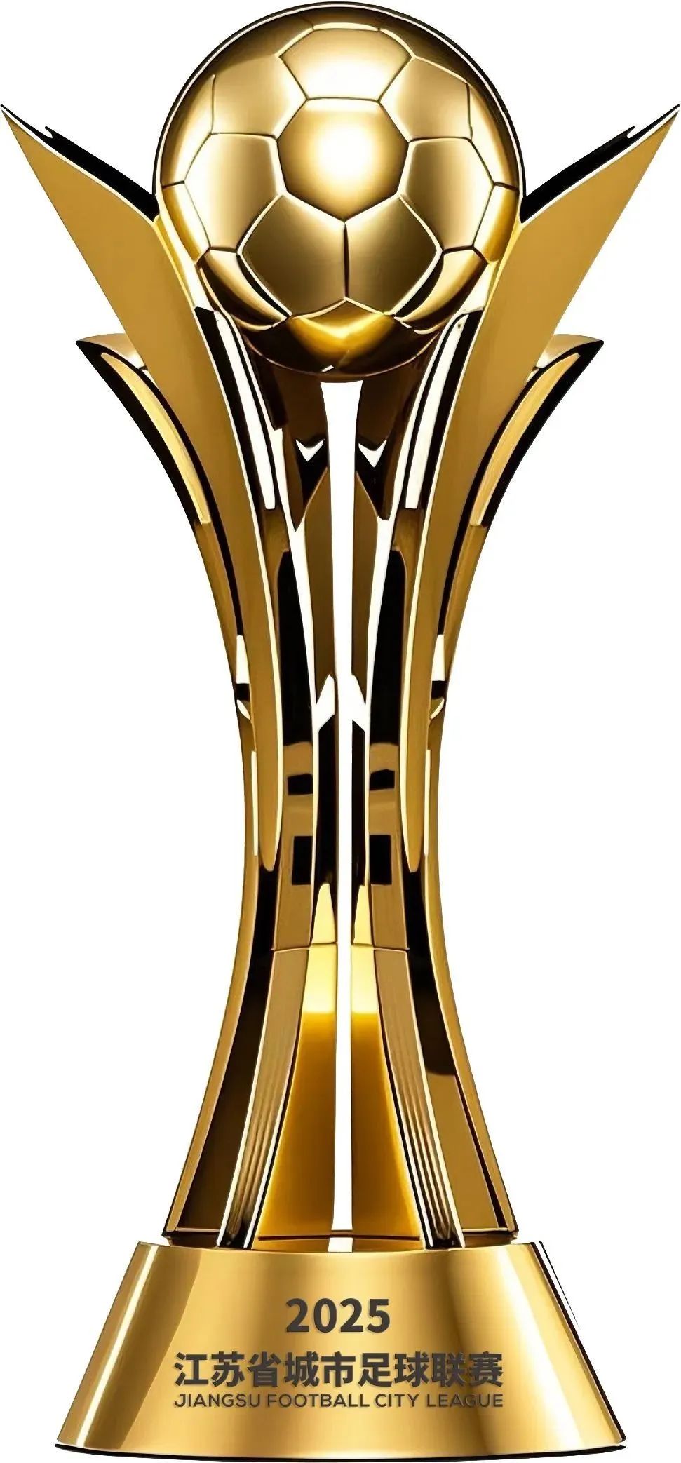 2025꽭ʡLOGOͶƱ.9ͼƬ
