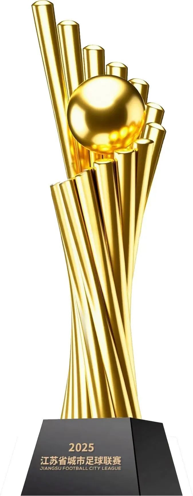 2025꽭ʡLOGOͶƱ.10ͼƬ