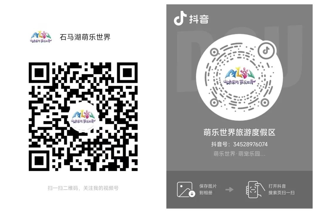 萌乐世界环尾狐猴双胞胎宝宝有奖征名 萌乐世界环尾狐猴双胞胎宝宝有奖征名.0图片