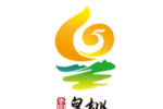 ʶLOGOںѡʾ
