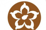 ڶ캣ϳ㻨ʽ׻LOGOVIӾͶƱ