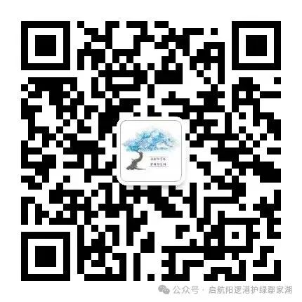 鄢家湖护卫队品牌LOGO海选设计征集 鄢家湖护卫队品牌LOGO海选设计征集.0图片