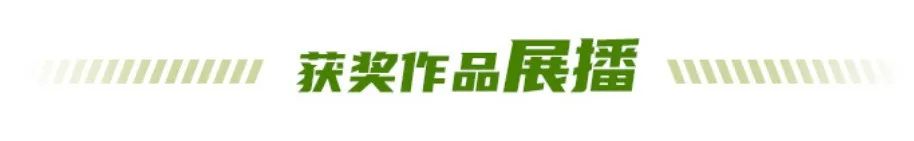 山城绿道logo视觉识别系统及宣传语评审结果 山城绿道logo视觉识别系统及宣传语评审结果.0图片