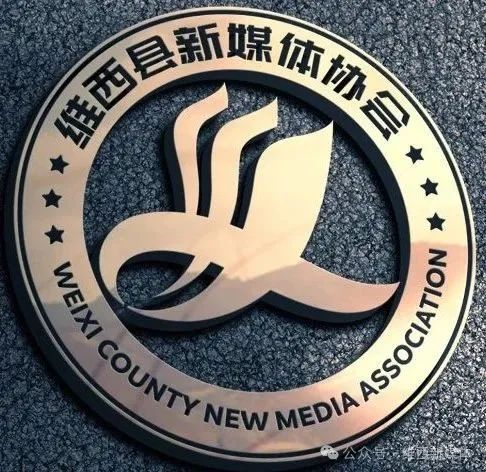 维西县新媒体协会会标LOGO评选结果公示 维西县新媒体协会会标LOGO评选结果公示.2图片