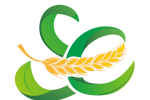 ۸סlogo