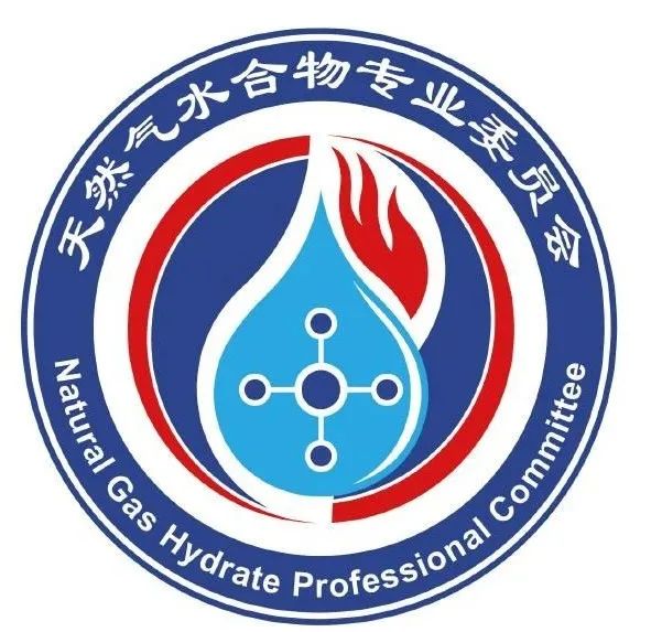 关于确定中国可再生能源学会天然气水合物专委会会标终选方案公示的通知 关于确定中国可再生能源学会天然气水合物专委会会标终选方案公示的通知.1图片
