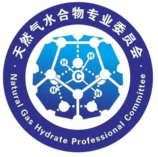 关于确定中国可再生能源学会天然气水合物专委会会标终选方案公示的通知 关于确定中国可再生能源学会天然气水合物专委会会标终选方案公示的通知.3图片