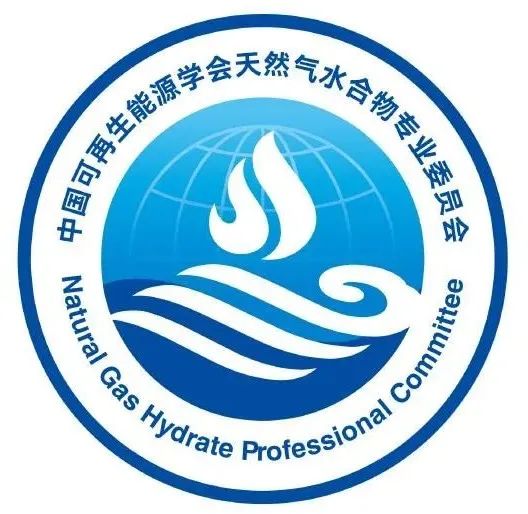 关于确定中国可再生能源学会天然气水合物专委会会标终选方案公示的通知 关于确定中国可再生能源学会天然气水合物专委会会标终选方案公示的通知.4图片