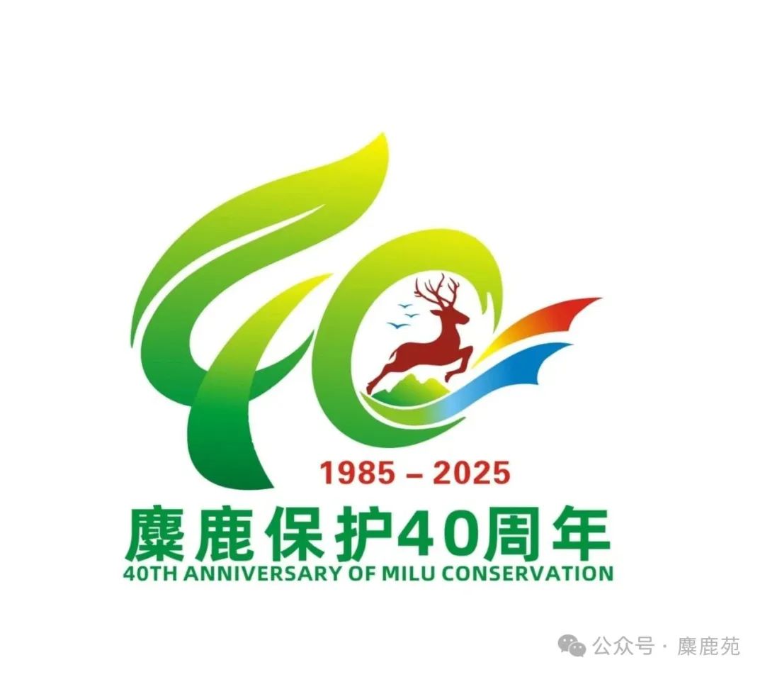 ¹ʮʶLOGO¹ұоʶLOGOƴ.2ͼƬ