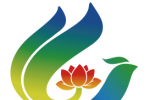 LOGOѡƷʾ