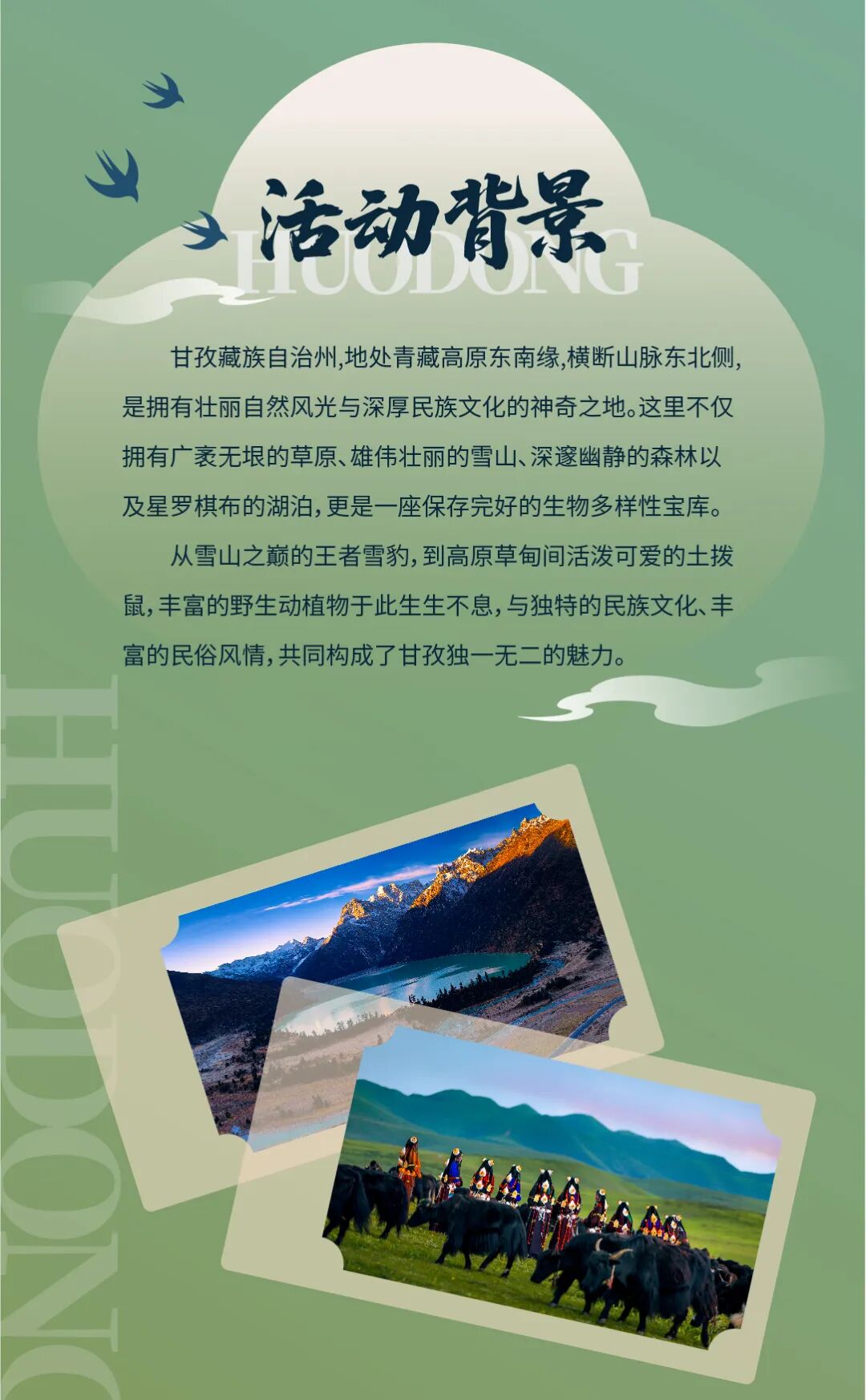 甘孜文旅全球征集“雪豹”“土拨鼠”吉祥物IP.1图片