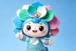������70�����켪����ͶƱ