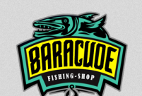 Baracude���