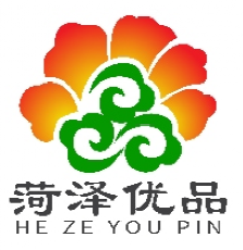 ���ڡ�������Ʒ��LOGO����������������ѡ����Ĺ�ʾ.33ͼƬ