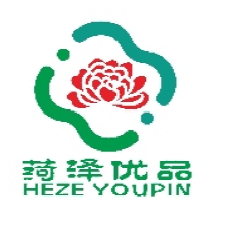 ���ڡ�������Ʒ��LOGO����������������ѡ����Ĺ�ʾ.48ͼƬ