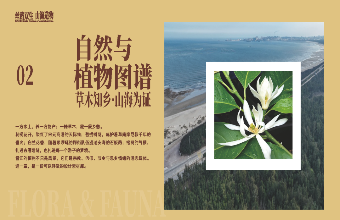 30万奖金怎么拿?7大维度解锁晋江文创灵感