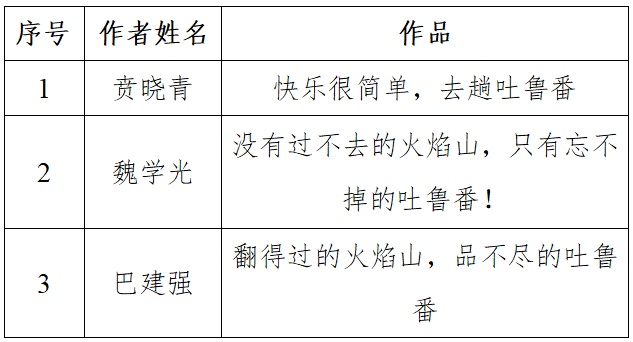 吐鲁番城市形象标识LOGO全球征集活动“入围奖”获奖作品公示.1图片