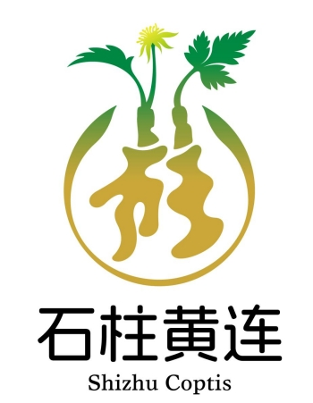 “石柱黄连”文化LOGO与宣传标语征集入围作品公示.5图片