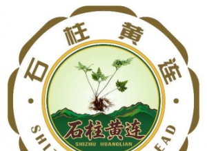 ��ʯ���������Ļ�LOGO����������������Χ��Ʒ��ʾ